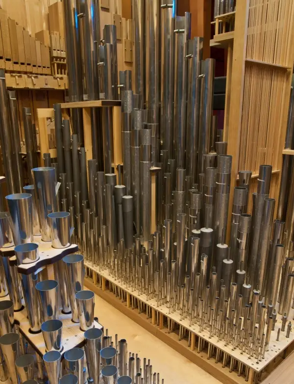 A close-up view of a dense cluster of pipes from the organ of Walt Disney Concert Hall. The pipes are variable in size and height, and some are capped while others are open.